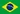 Português do Brasi