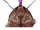 Bugs/Gallery