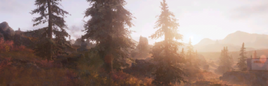 Tundra Landscape