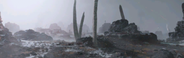 Frozen Boneyard Landscape