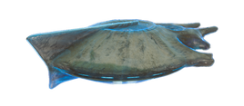 Warpship