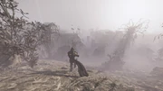 A Helldiver scouts the foggy plains outside of an urban settlement.