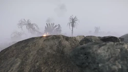 The Murky Basins of Ain-5