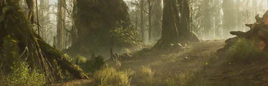 Swamp Landscape