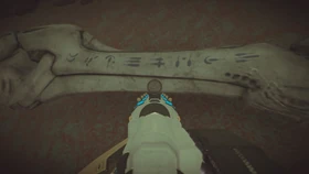 An inscription found on the legs of a .