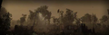 Early version of Meridia's landscape