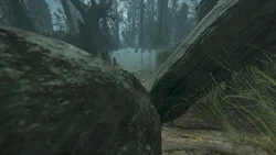 The Squelching Bog of Barabos.