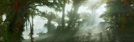 Sparse Jungle Landscape