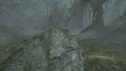 The Hazy Marshlands of Tarsh