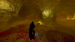 A Helldiver discovers the mysterious fossils of an unknown superorganism inside of a cave in Oshaune. September 2nd, 2185.