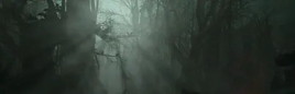 Foggy Swamp Landscape