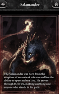 Salamander Lore