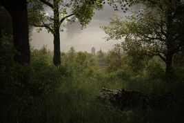 Mortain 1