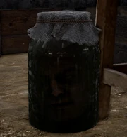 Stalingrad head in jar