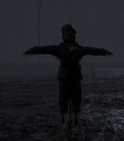 Scarecrow remagen night