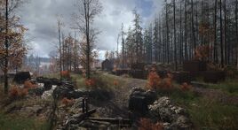 (official)hurtgen forest