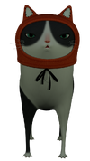 Imbir.png