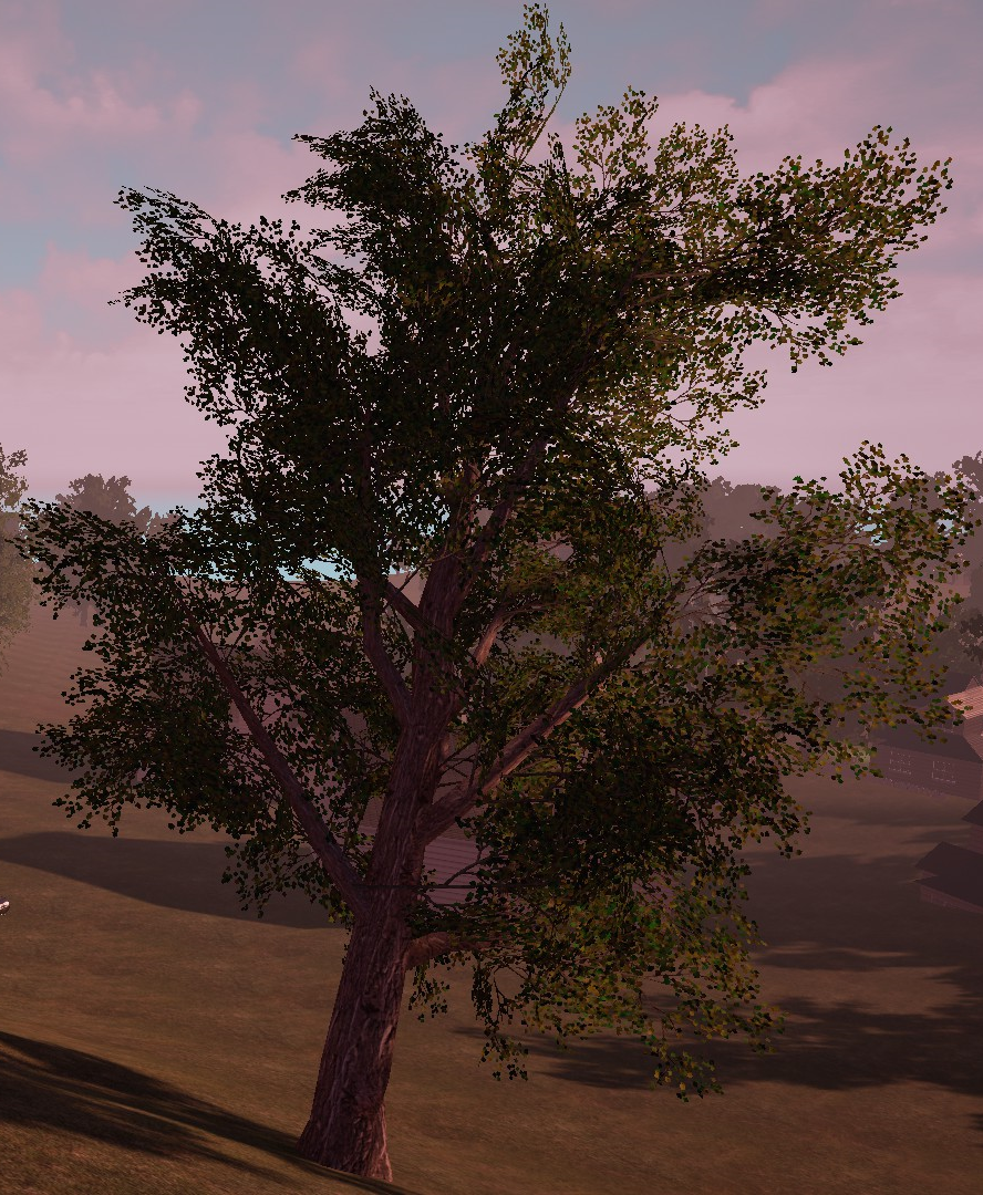 Сколько растет дерево в привет сосед