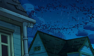 Вороны кружат над домом Теодора Питерсона