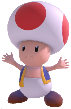 Toad (species) - Super Mario Wiki, the Mario encyclopedia