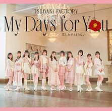 Tsubaki Factory