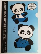 Promotional clearfile.