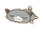 Gu