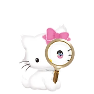 2021 Sanrio Character Ranking artwork