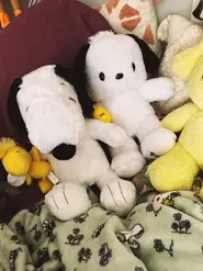 A Pochacco plush next to Snoopy's, showing his clear inspiration by the Peanuts character