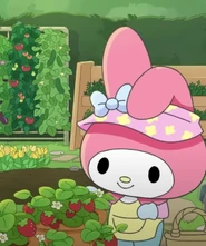 Picking Strawberries