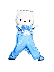 Official mascot costume