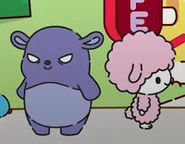 Baku and My Sweet Piano cameos