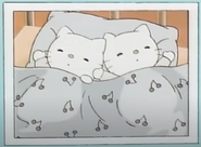 Baby Kitty und Baby Mimmy