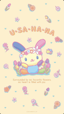 U*SA*HA*NA | Hello Kitty Wiki | Fandom