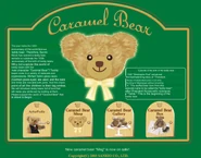 Translated version of the Caramel Bear website homepage.
