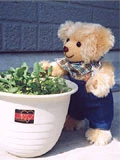 -Gardening Bear- I made it as a gift for a friend who likes gardening. I made it at the request of "I want a teddy bear that feels like an energetic boy." I always wear overalls for my boy's teddy bear, but when I added a checked bandana to this child, it looked really cool. (Created in May 1997, 32 cm long)