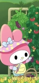 Harvesting Eggplants