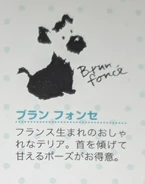 From Sanrio Design '90s-2010s