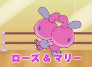 Rosemary.jpg (62 KB)