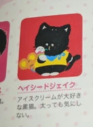 From the book "Sanrio Design '90s-2010s"