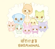 The shorthaired Bosanimals.