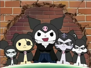 Kuromi's 5 group