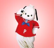 Pochacco's Puroland mascot costume