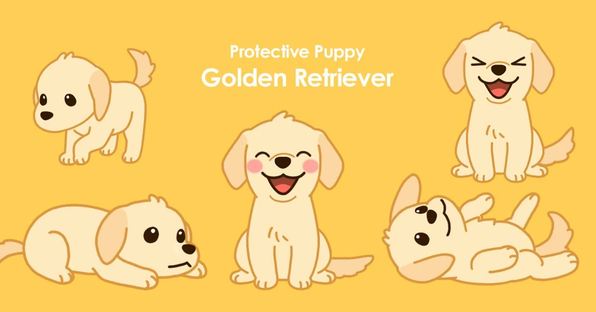 Golden Retriever Hellopet Wiki Fandom