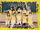 Morning Musume DVD Magazine Vol.5