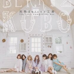 Kanjuku Berryz Koubou The Final Completion Box | Hello