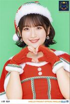 December 2023 (Tsubaki Factory FC Event ~Camellia Fai! vol.15 Camellia Xmas 2023~)