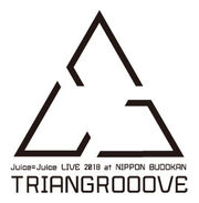 JuiceJuice-LG2018TRIANGROOOVE-logo