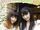 Morning Days 12 ~Niigaki Risa & Michishige Sayumi in Yamaguchi~