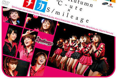 Morning Musume Concert Tour 2004 Spring The BEST of Japan Morning ...